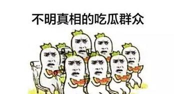 带你吃瓜奇葩娱乐设施,带你探索那些令人捧腹的“吃瓜”娱乐设施