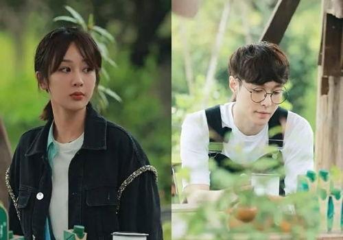 娱乐圈吃瓜博主,明星背后的那些事儿